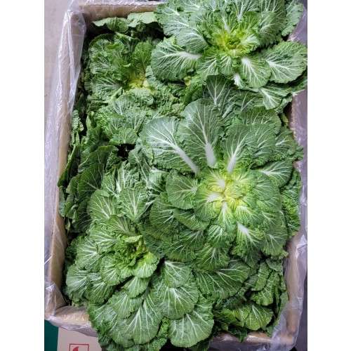 15d30f6845e699dd09b7b7994a53adfe_1675663319_7409.jpg 15d30f6845e699dd09b7b7994a53adfe_1675663319_7409_1681443865_1439011001_1711831049.jpg