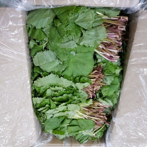 cb20dad3b4e4c198c5a5cc0a26a07034_1677139227_1734.jpg cb20dad3b4e4c198c5a5cc0a26a07034_1677139227_1734_1681443925_1511011001_1711831111.jpg