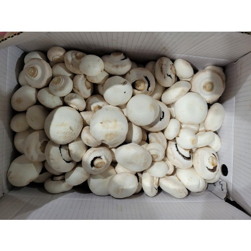 cb20dad3b4e4c198c5a5cc0a26a07034_1677140162_2324.jpg cb20dad3b4e4c198c5a5cc0a26a07034_1677140162_2324_1681444062_1605071001_1711831254_105526120.jpg