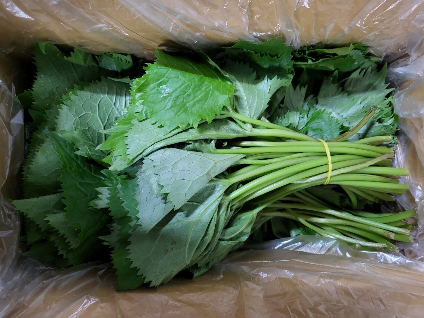 d3726a24d916944751459b19f420fc38_1681793406_8953.jpg d3726a24d916944751459b19f420fc38_1681793406_8953_1681443923_1510011001_1711831109_105034110.jpg