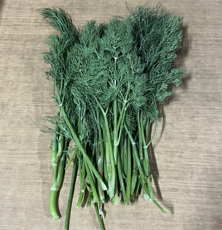 7015df294c7b2ba321aa2163b09a3b29_1710513884_3328.png 7015df294c7b2ba321aa2163b09a3b29_1710513884_3328_1711830889_104040124.png