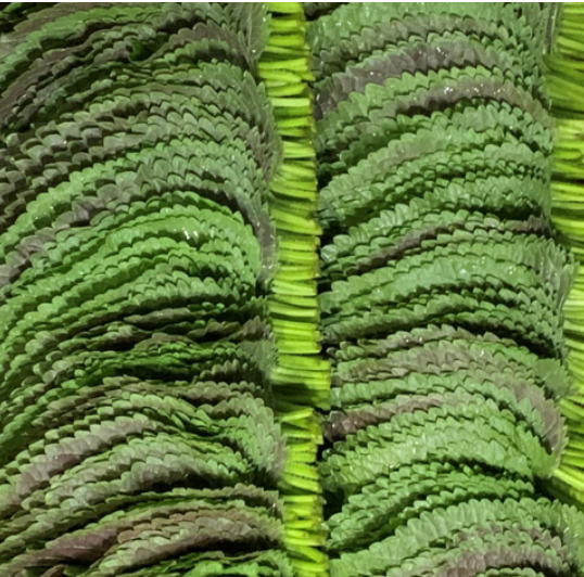 73682eeecc148569f860bd1a806e7c74_1738835362_5851.png 73682eeecc148569f860bd1a806e7c74_1738835362_5851.png