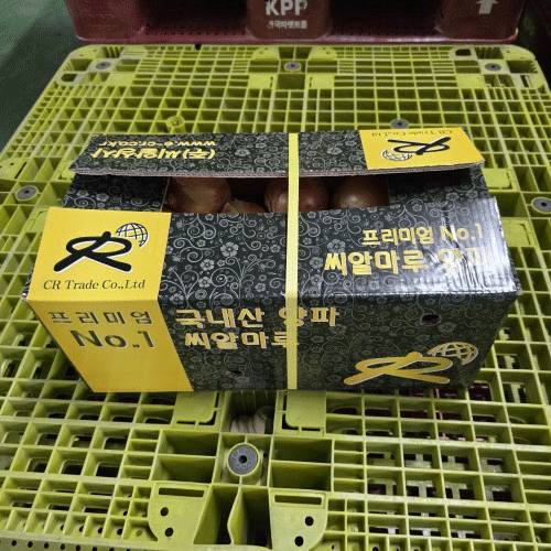 양파10kg 박스 /2L사이즈