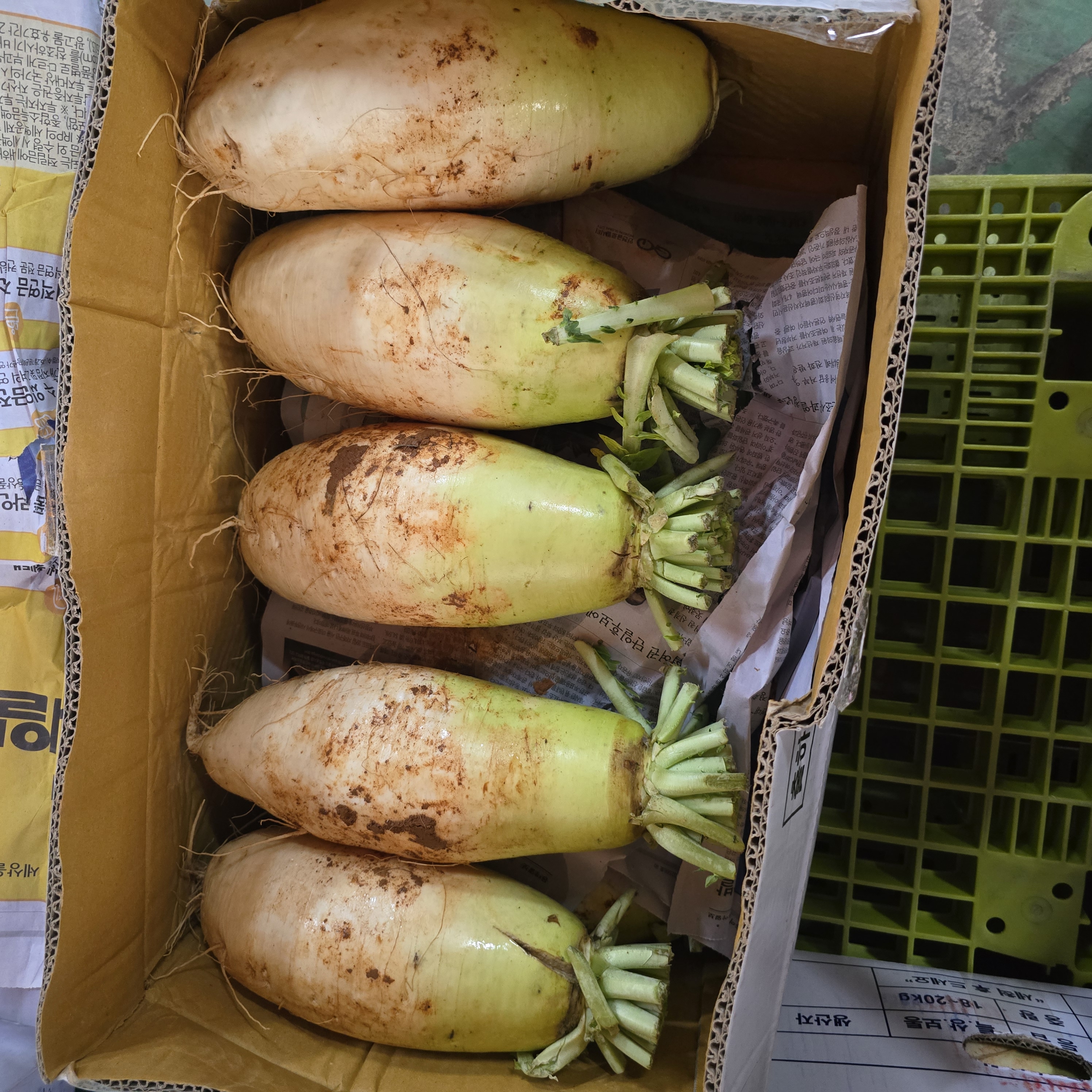 햇무우(특/10입)