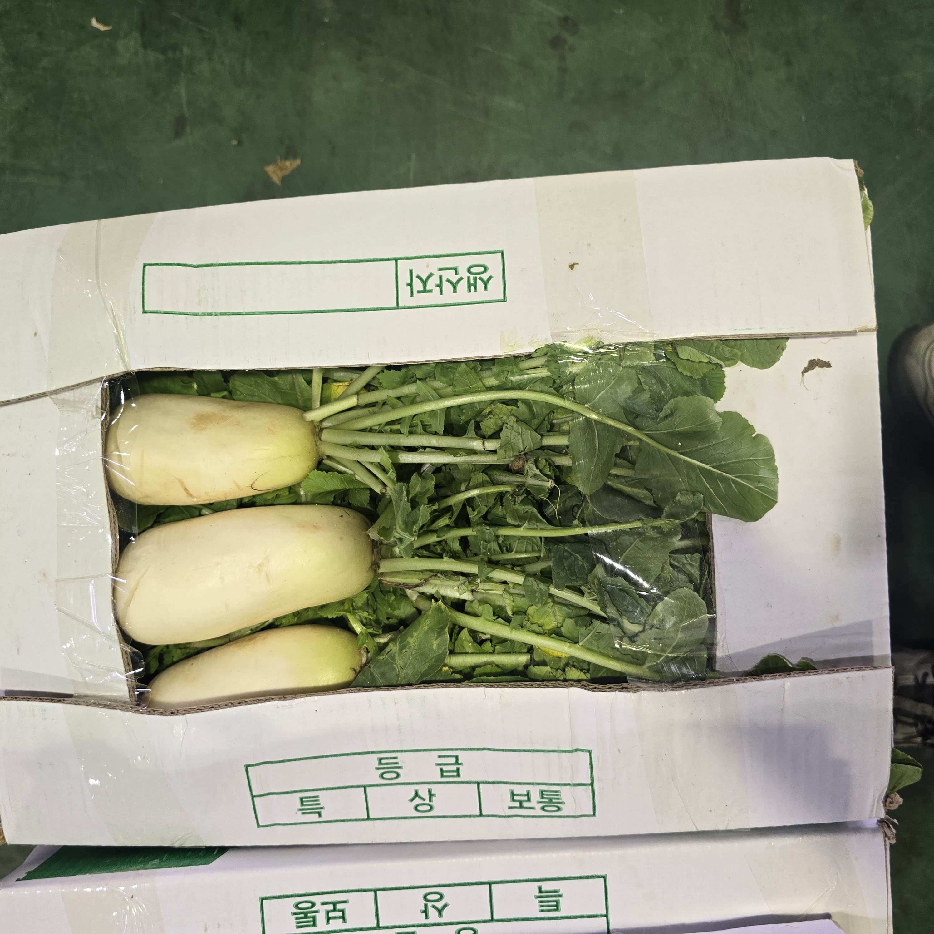 알타리무_벌크5kg_BOX