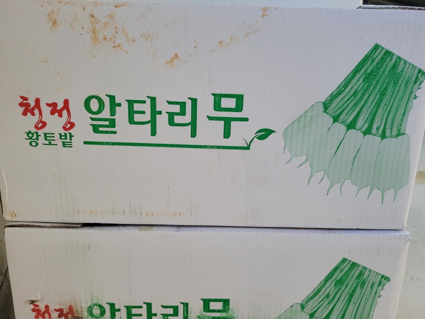 알타리