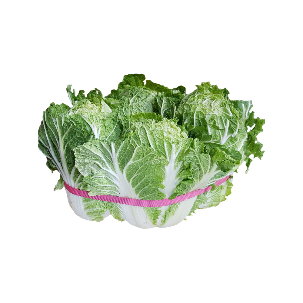 다부리_배추_4포기