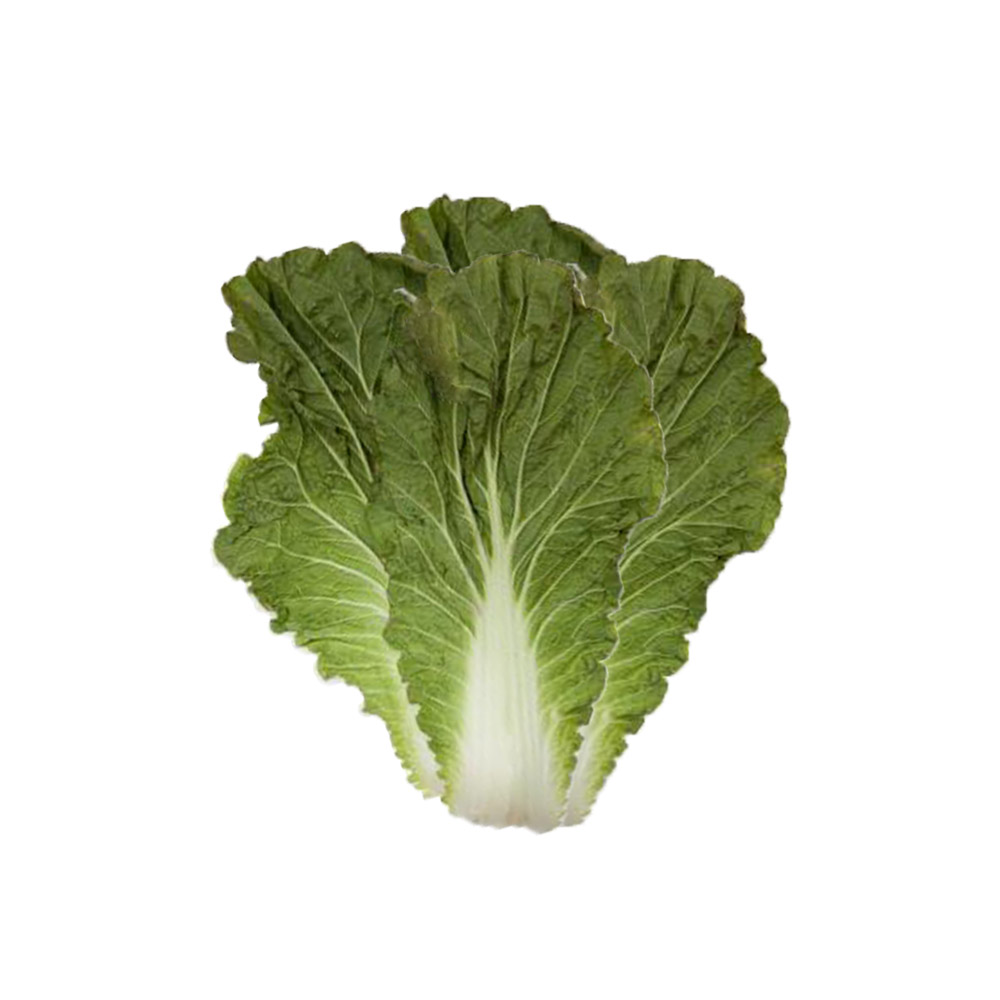 배추우거지_15kg포대