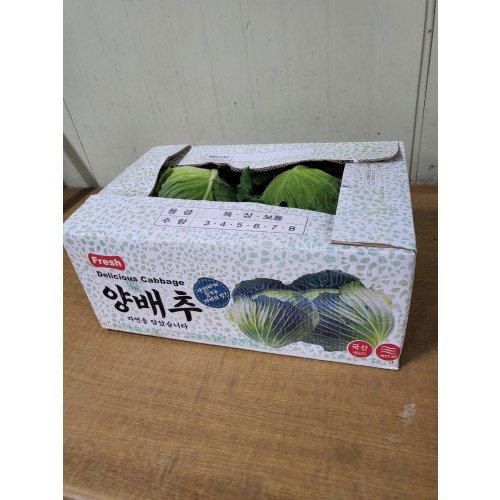 양배추_대_4입