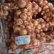 햇양파_특A20kg망