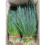 실파_특_500g