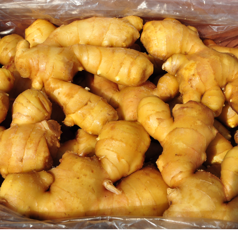 생강[수입] (10kg)