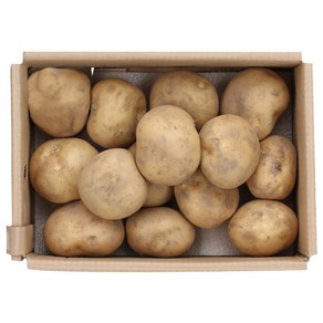 감자