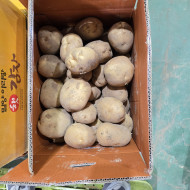 감자왕왕_20kg
