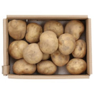 감자왕왕_10kg_BOX