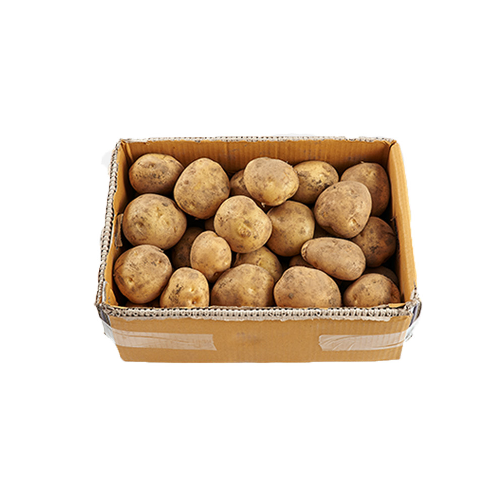 감자조림_10kg_BOX