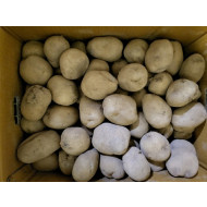 홍감자/특10kg_BOX