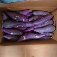 고구마_긴특10kg