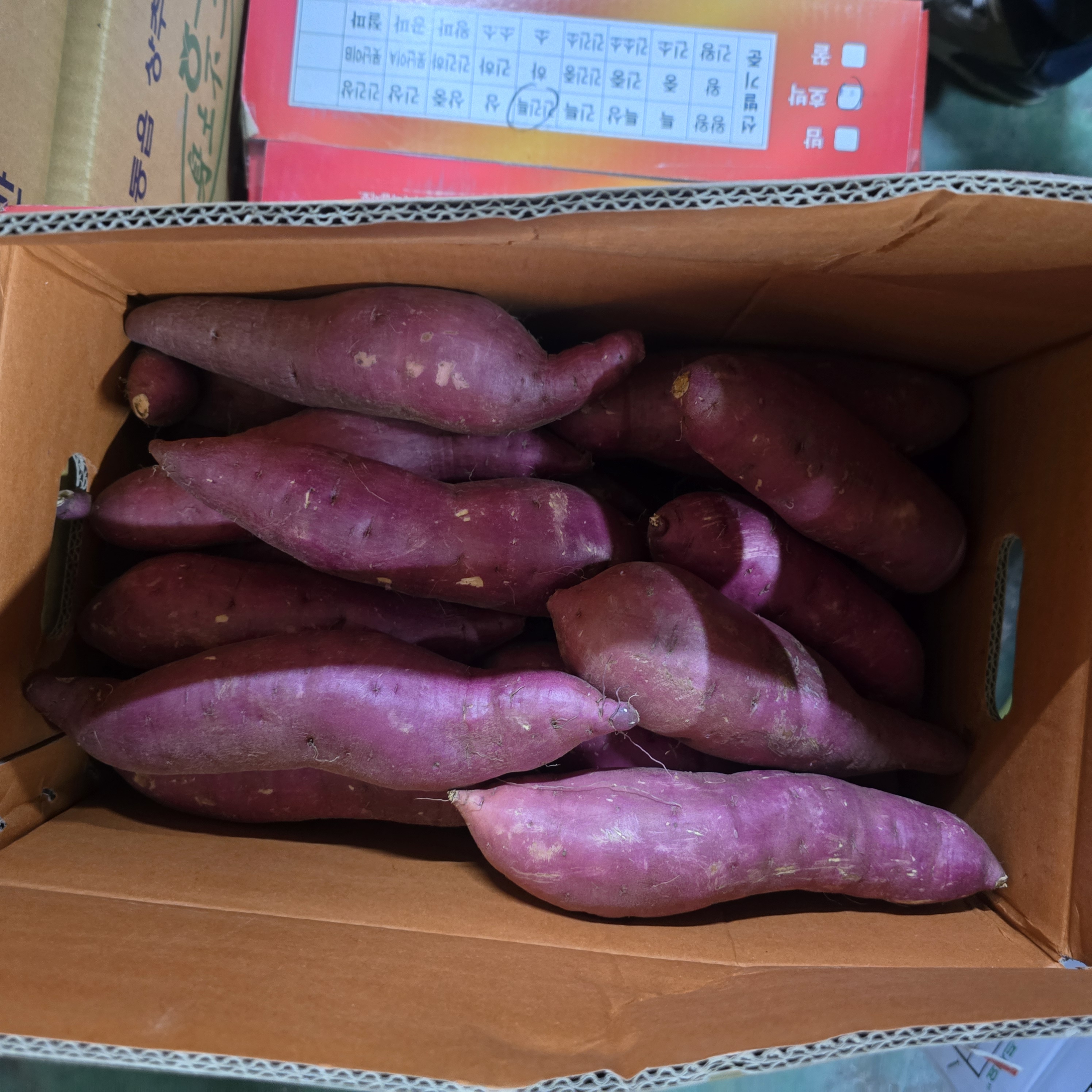 고구마긴중_10kg