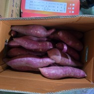 고구마긴중_10kg