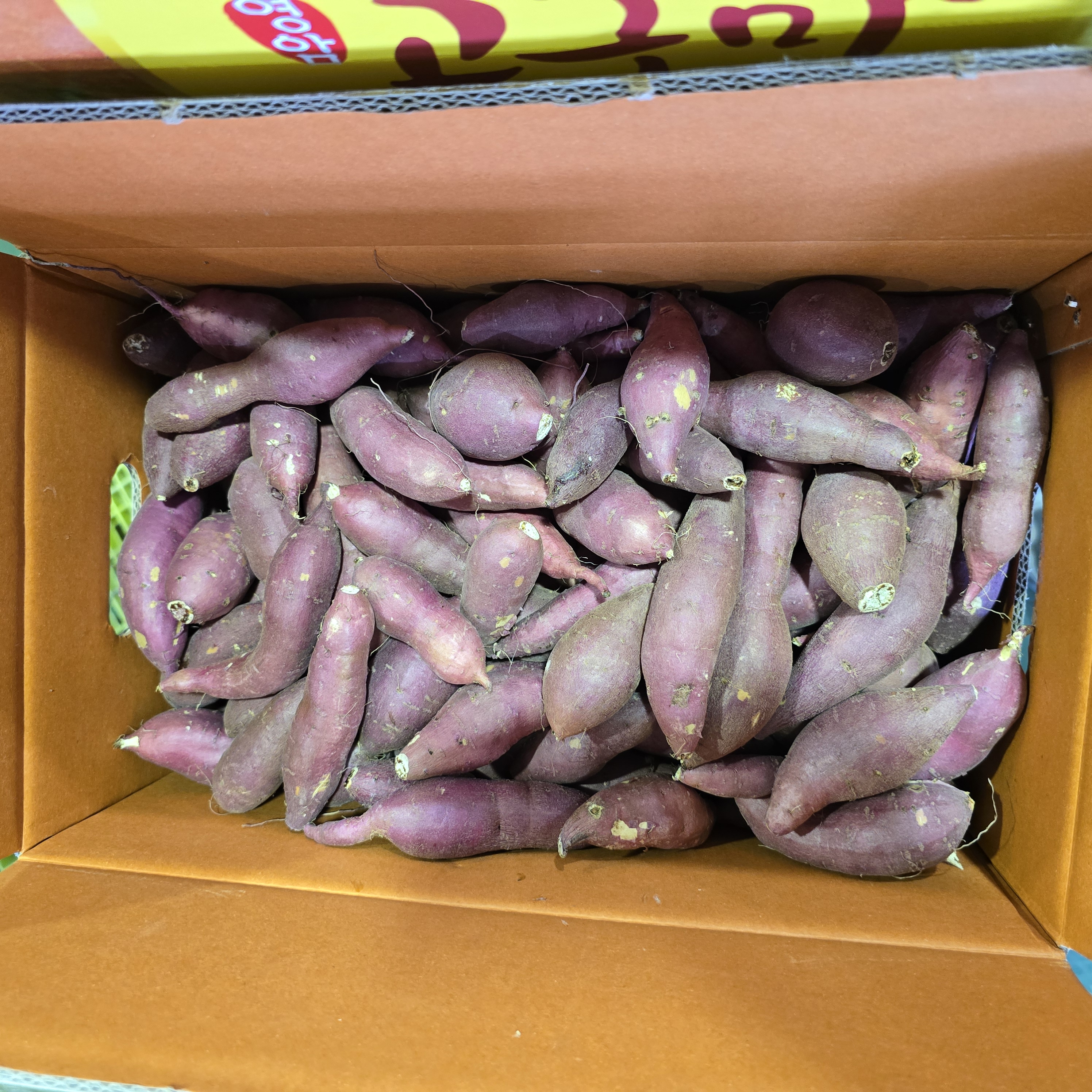 고구마/조림 (10kg)
