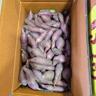 고구마/조림 (10kg)
