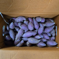 고구마/조림 (10kg)