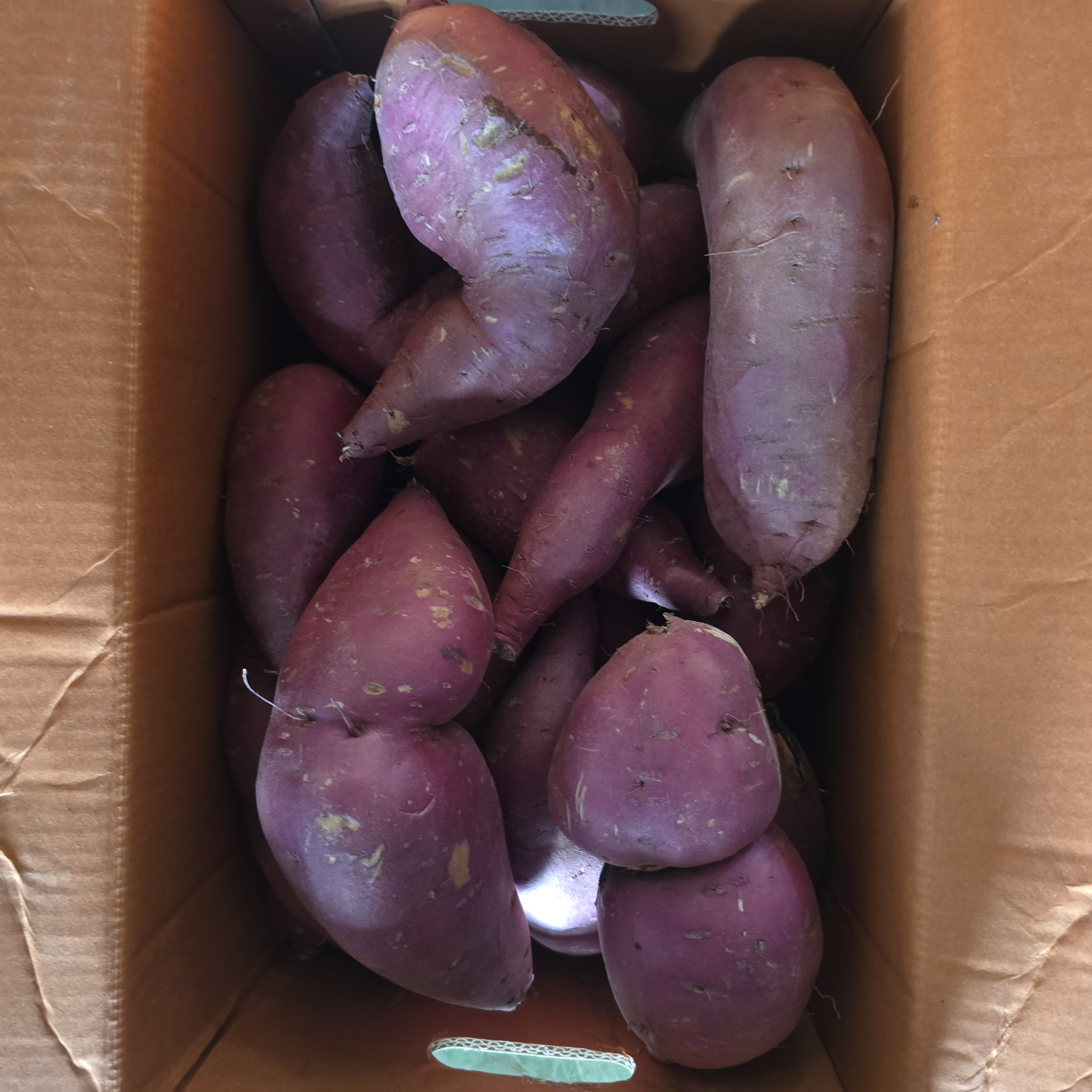 왕_고구마파지_10kg