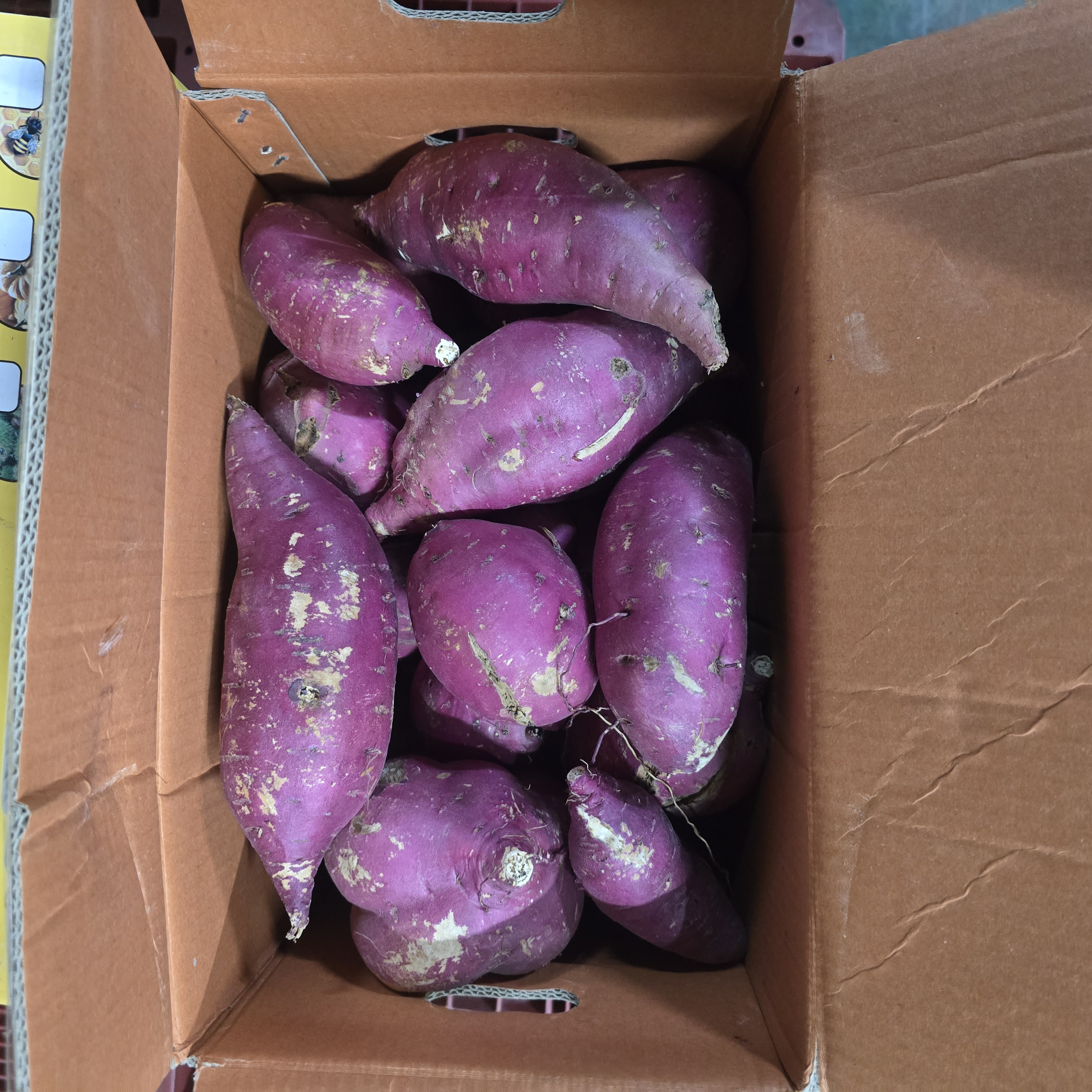 왕_고구마파지_10kg