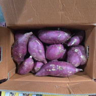 왕_고구마파지_10kg