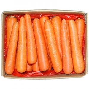 수입당근_햇당근2L_10kg