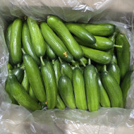 미니오이 5kg