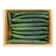 오이_가시오이장_특10kg [BOX]