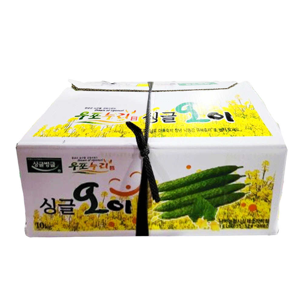 오이_가시오이등외_10kg