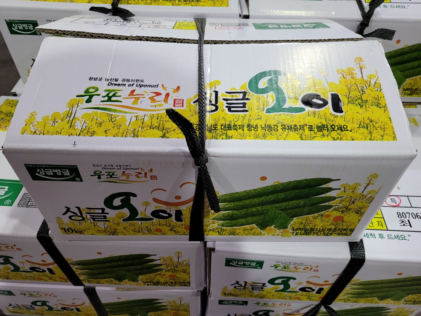 오이_가시오이소_10kg