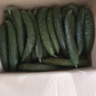 오이_가시오이중_10kg