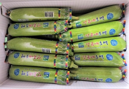 애호박
