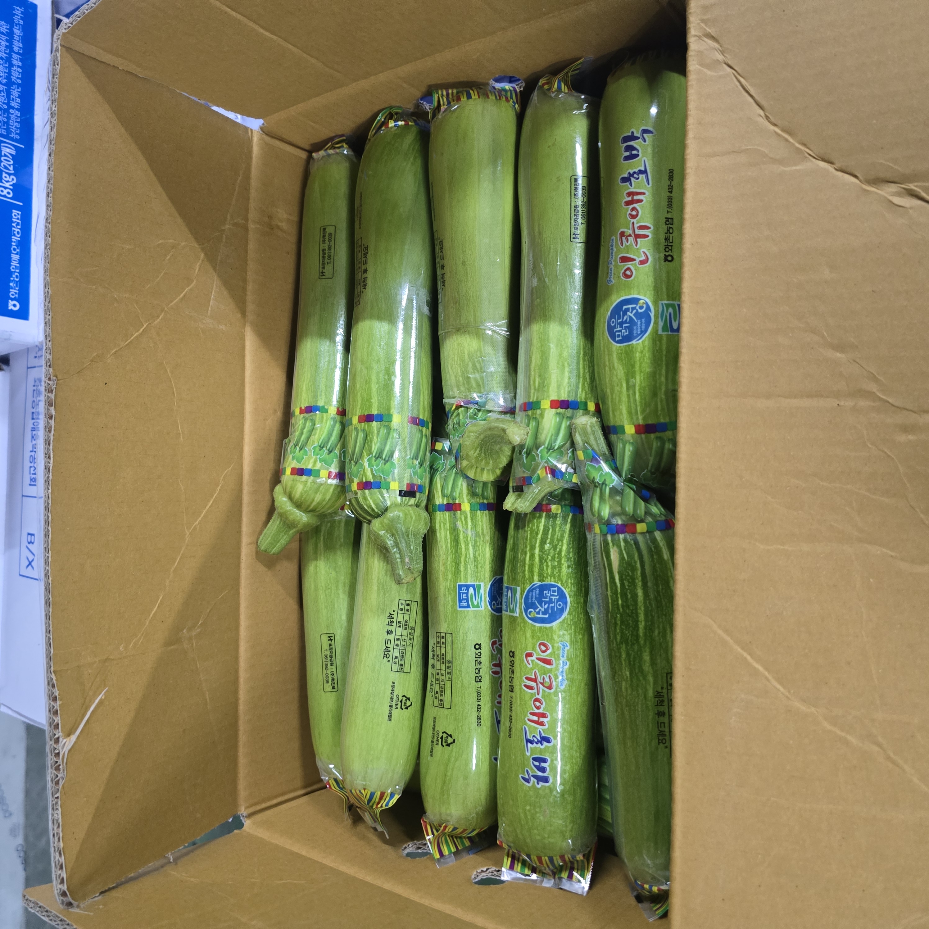 애호박(상) (8kg)