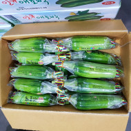 애호박_중_8kg