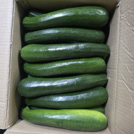 쥬키니호박 /특 (10kg)