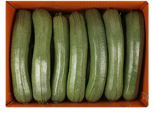 쥬키니호박_긴특_10kg_BOX