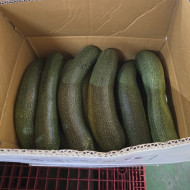 쥬키니호박 /상 (10kg)