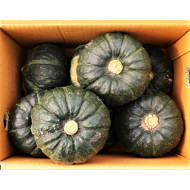 수입단호박10입_10kg