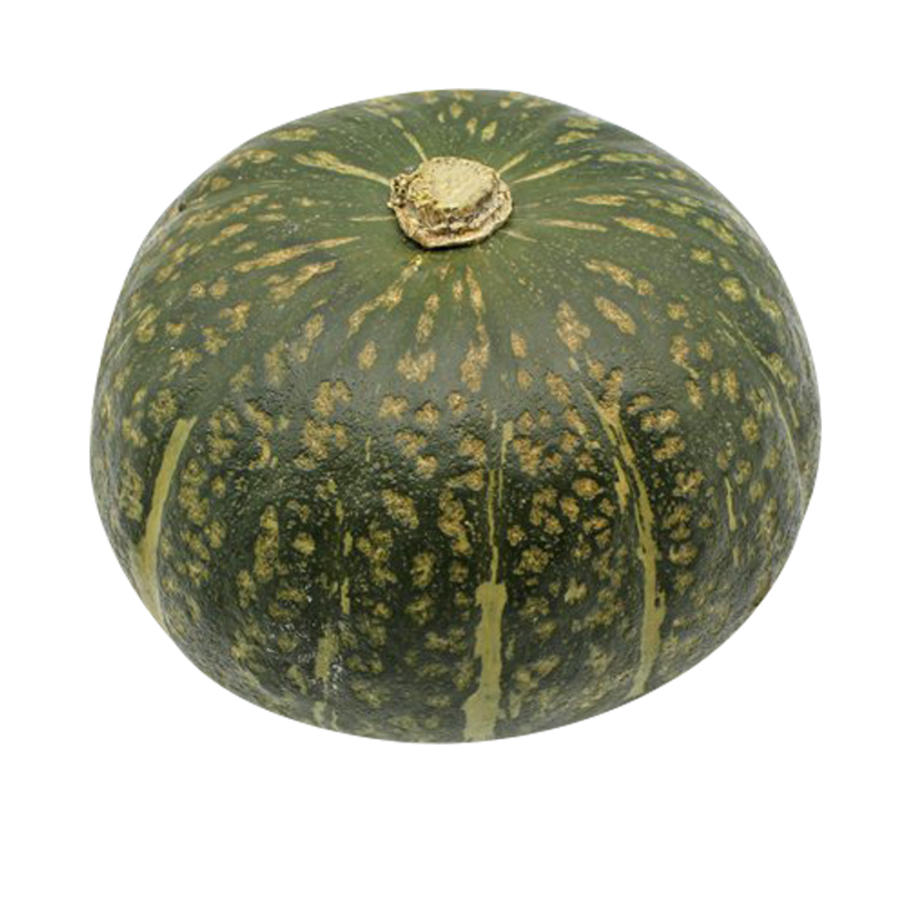 수입단호박(낱개)