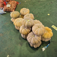 늙은호박_통_3kg