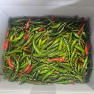 혼합 청양 상 (10kg)