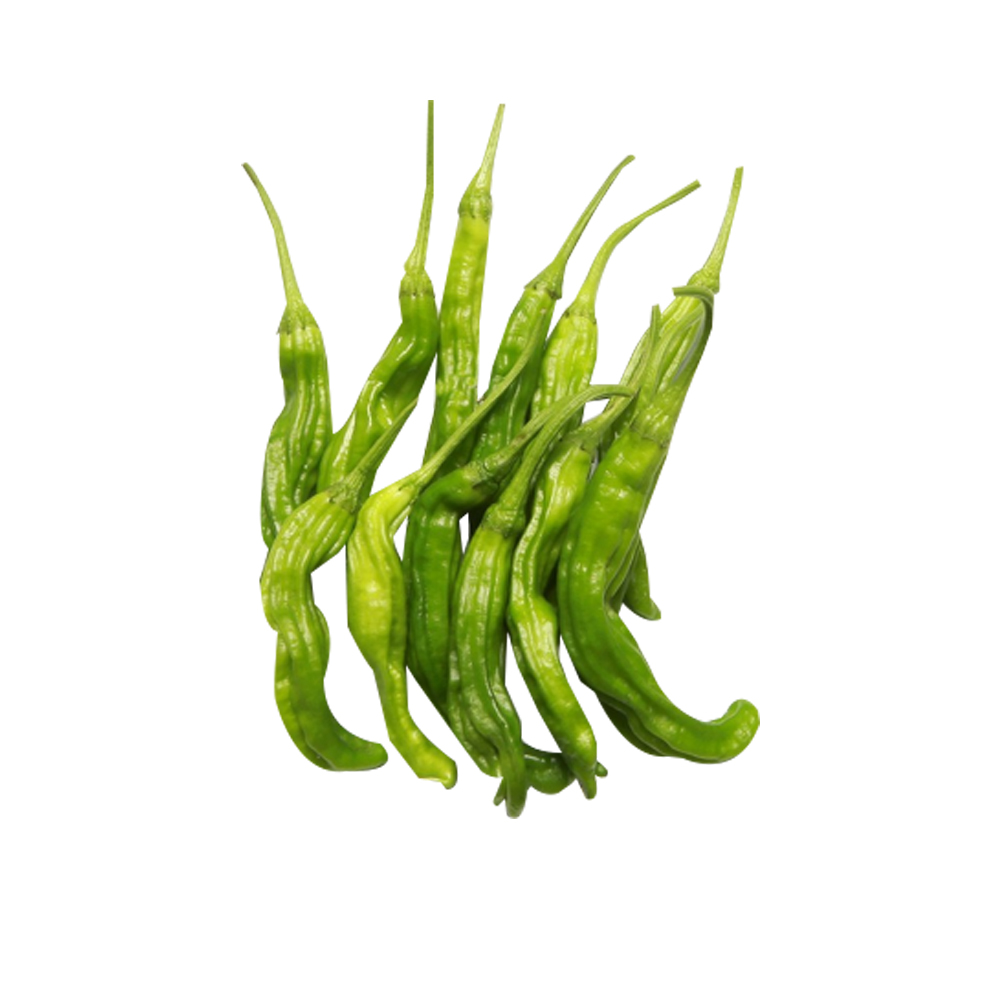 꽈리고추_300g_EA