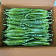 오이맛고추(튀김) (10kg)