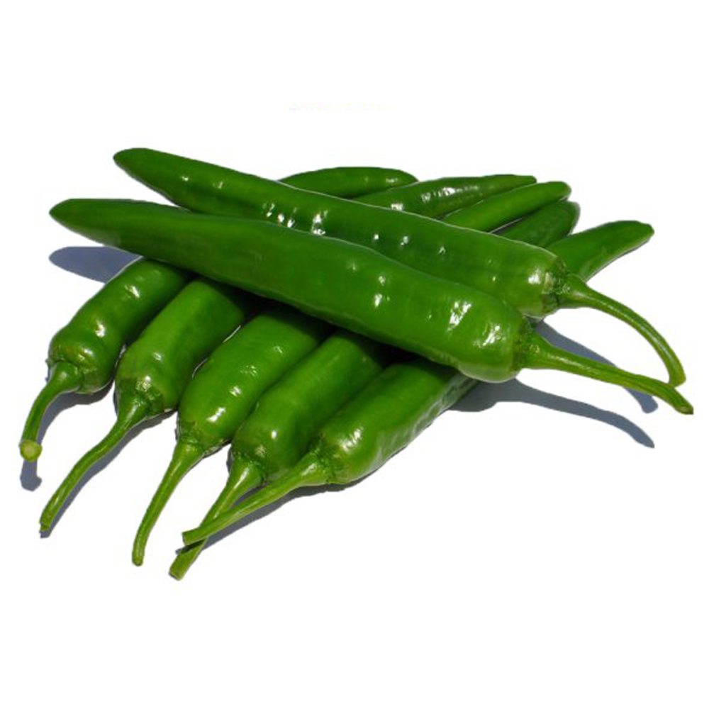 오이맛고추_상_10kg