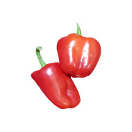 파프리카_빨강S_5kg